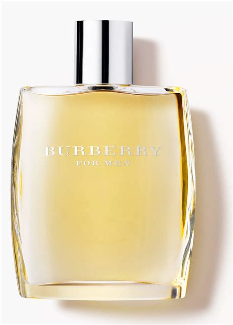 burberry max cologne|original burberry cologne for men.